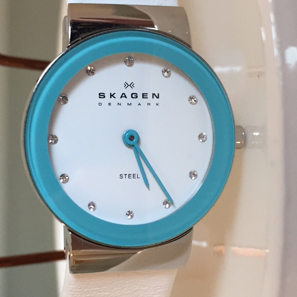 Skagen Watch